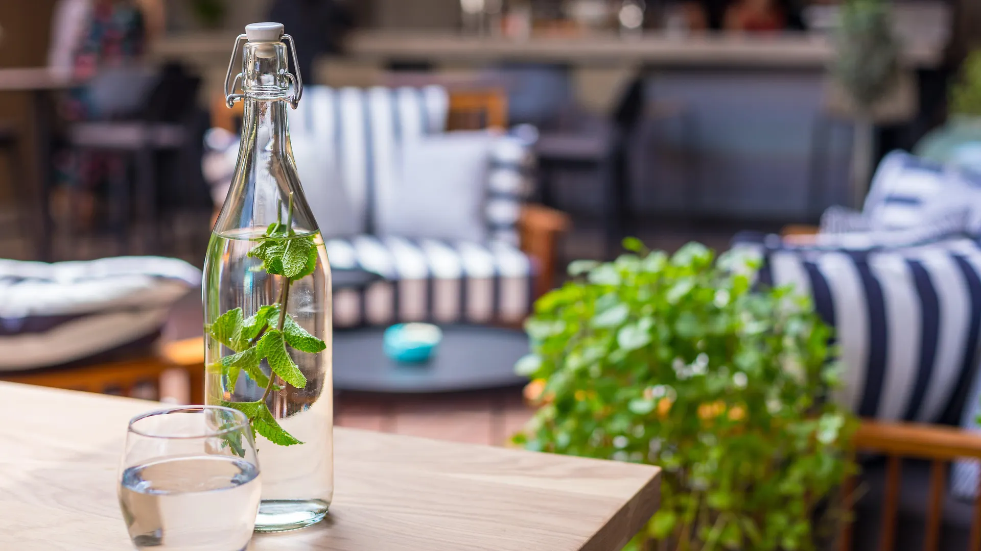 Hotel Indigo Larnaca By Ihg-Adults Only